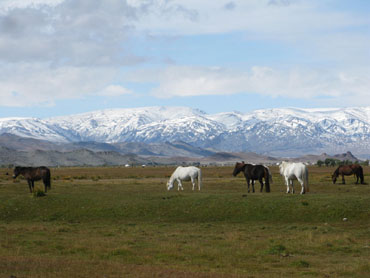 tented camp in Altai
