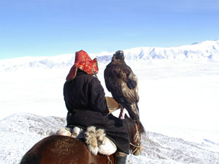 Orhon valley horse trekking tours, Mongolia horse riding trip
