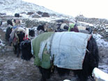 orkhon valley, mongolian horses, horse tour mongolia