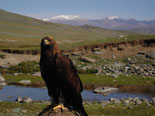 orkhon waterfall, Ulaantsutgalan, Orkhon river, orhon valley,